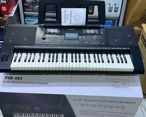 Professional Electronic Keyboard PSR493