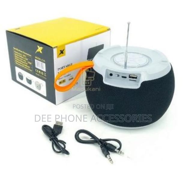 C15S Portable Wireless Speaker