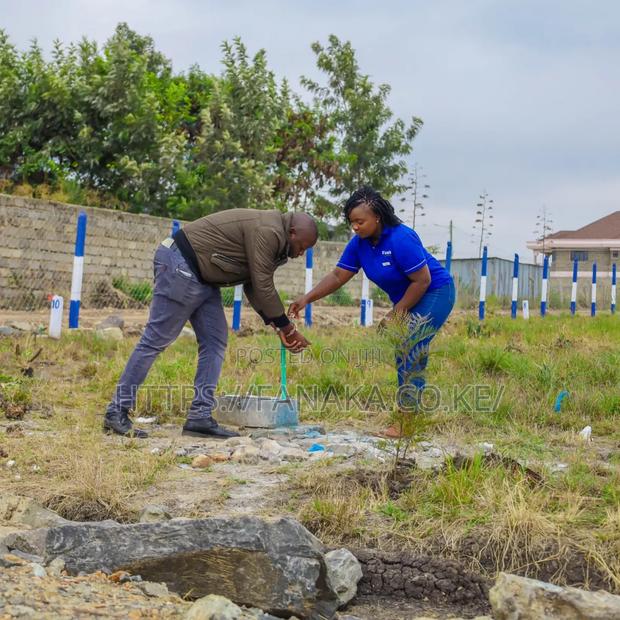 Genuine Katani Plots at 2.3M Ww ^ - main view