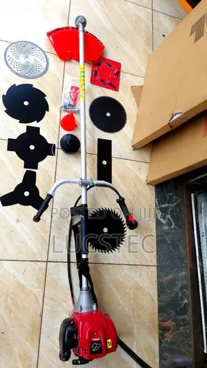4 Stroke Brush Cutter Lusqi With 9 Blades