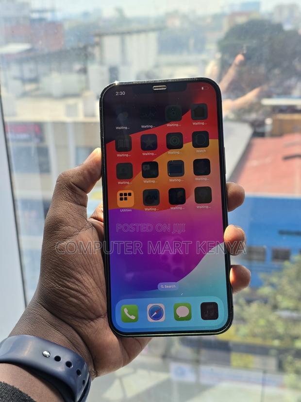 Apple iPhone 12 Pro Max 128 GB Gray - thumbnail 3