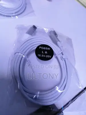 Type C to Magsafe 1 Cable 65W