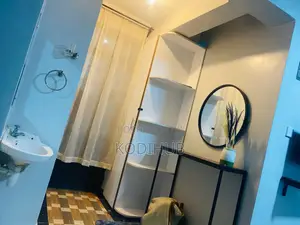 High Quality Studio in Mirema Drive in Roysambu.