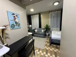 High Quality Studio in Mirema Drive in Roysambu.
