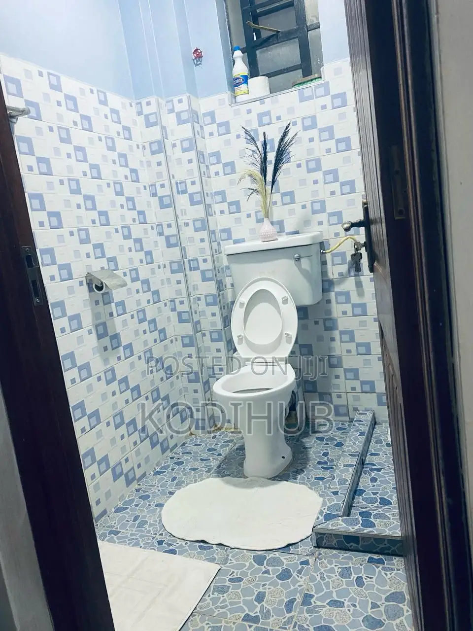High Quality Studio in Mirema Drive in Roysambu.
