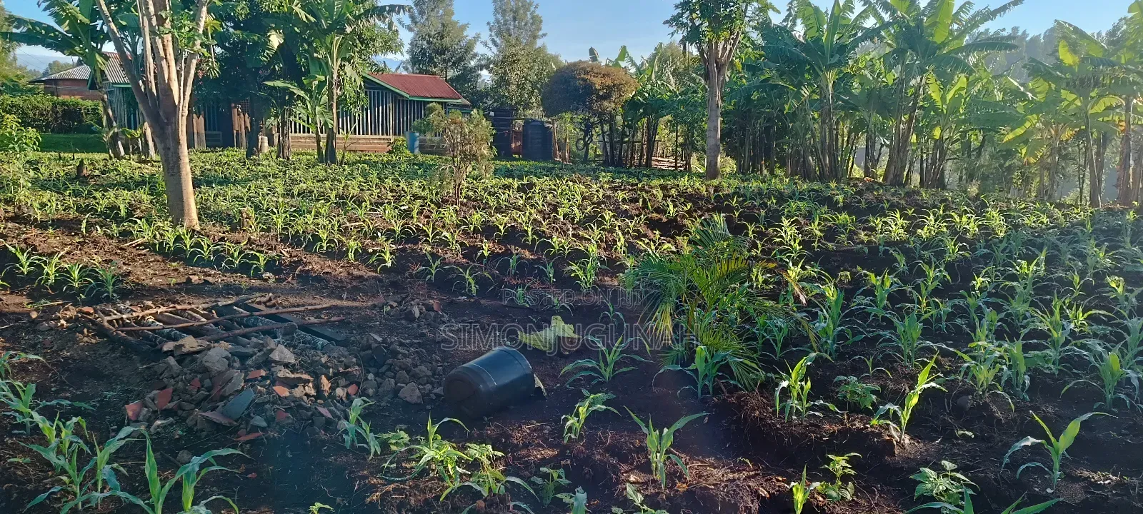 Prime Land 1.5 Acres in Kirinyaga County