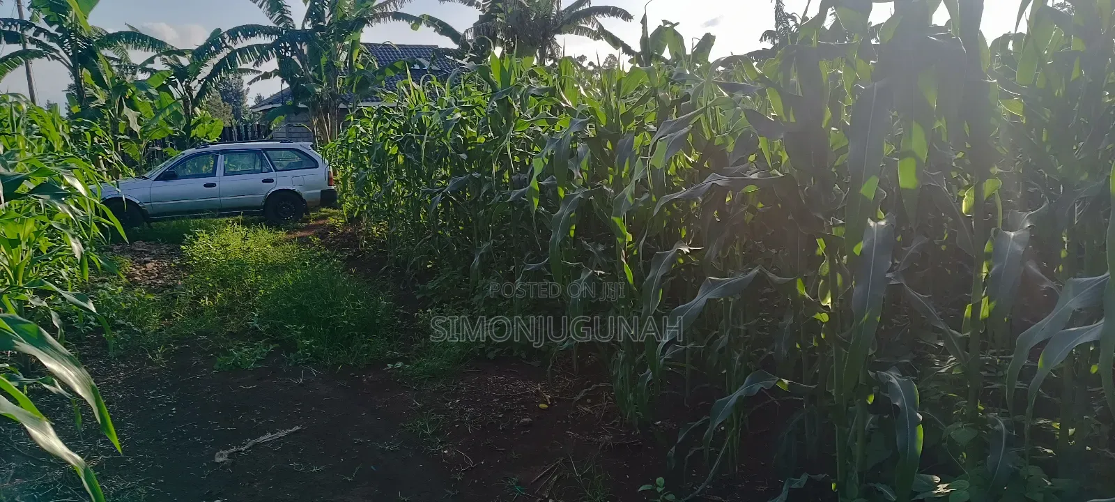 Prime Land 1.5 Acres in Kirinyaga County