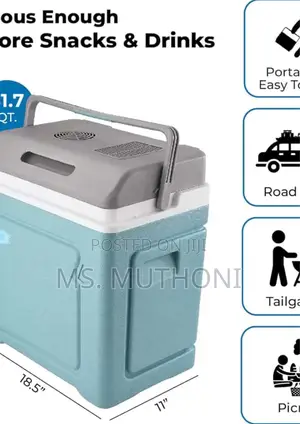 30 Litres 2 in 1 Electric Cooler/ Warmer