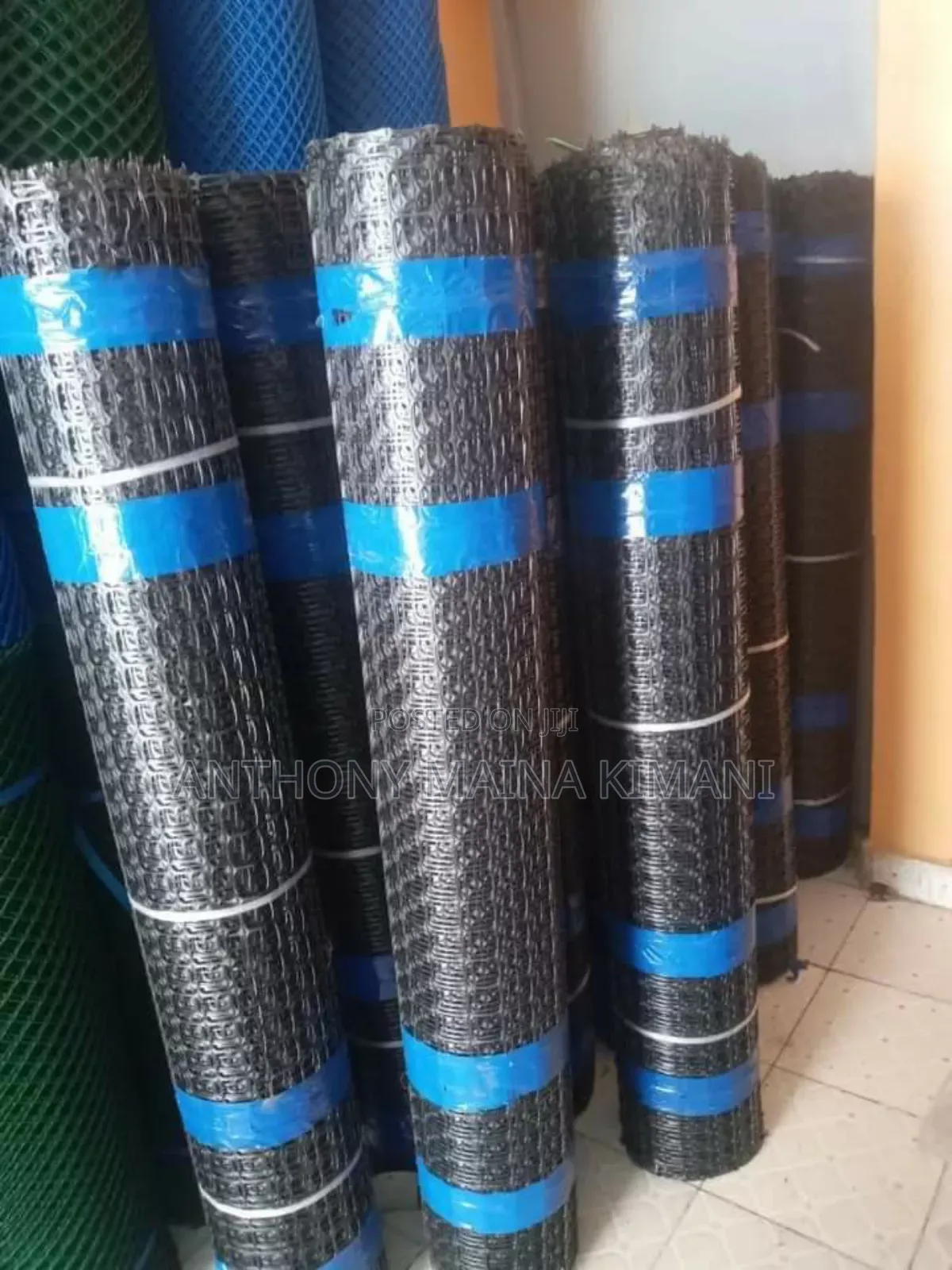 Geogrid Mesh