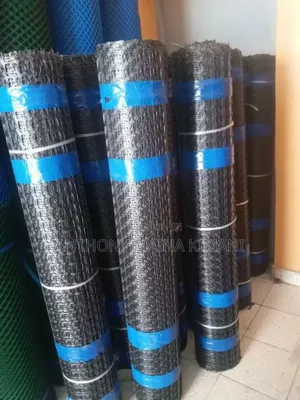 Geogrid Mesh