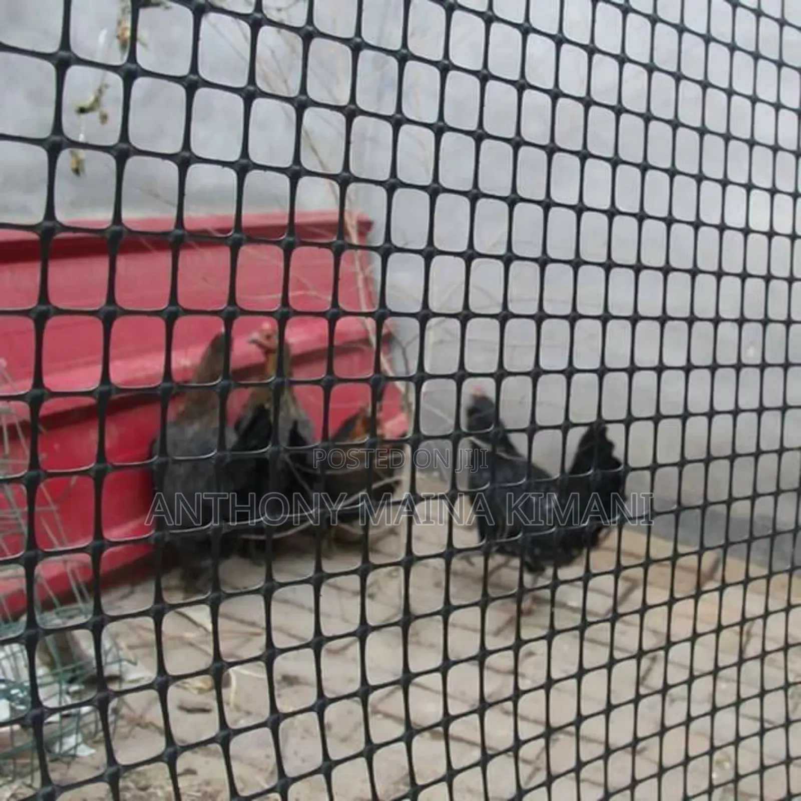 Geogrid Mesh