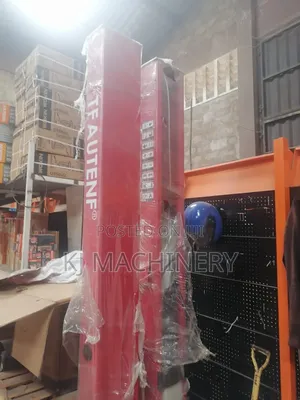 Two Post Carlift Machine Toller Brand Heavy Duty
