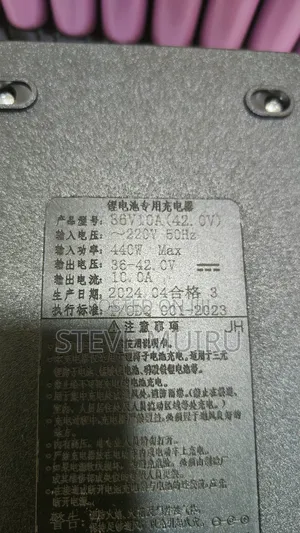 42V 10A Lithium Charger (36V)
