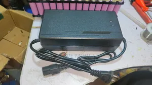 14S 48V Lithium Battery Charger