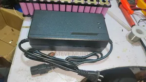 14S 48V Lithium Battery Charger