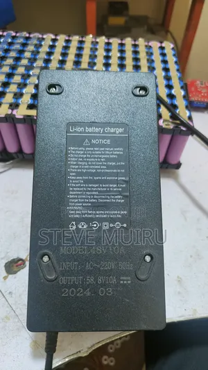 14S 48V Lithium Battery Charger