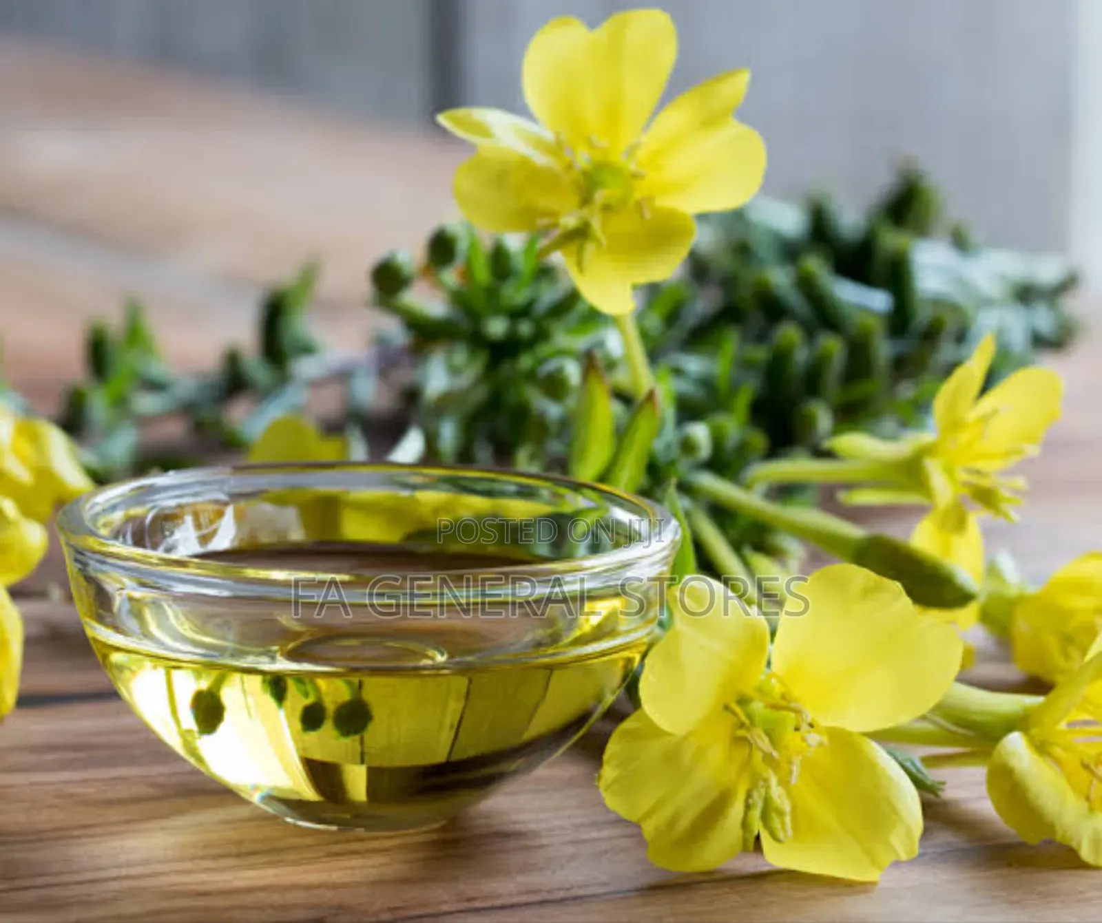 Evening Primrose