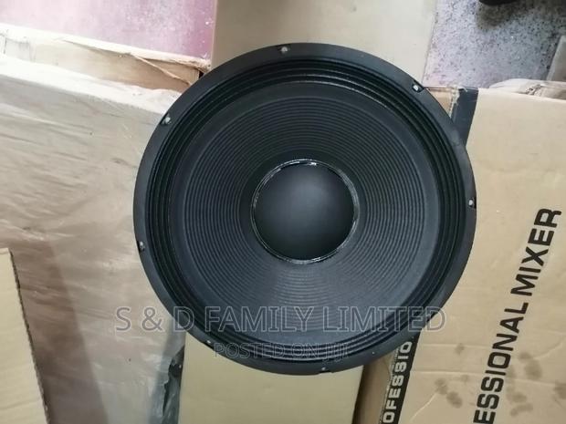JBN 12 Inch Naked Speaker