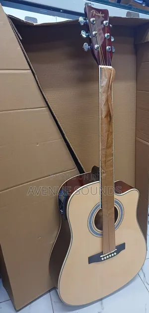 Fender Semi Acoustic Box Guitar