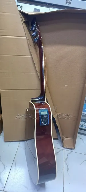 Fender Semi Acoustic Box Guitar