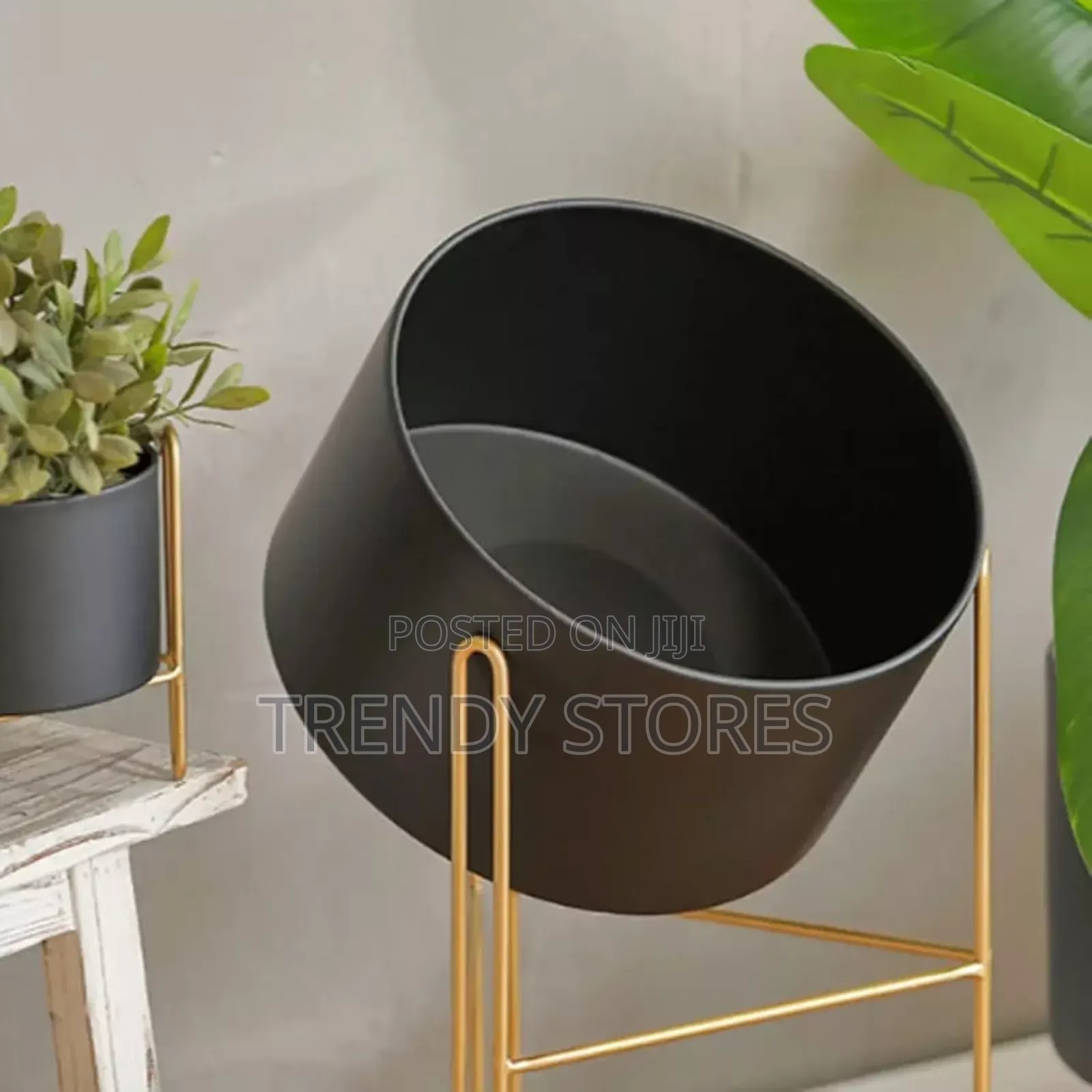 Big Black Planter With Gold Stand