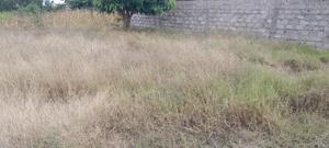 40 by 60 Plot at Murera - thumbnail 2