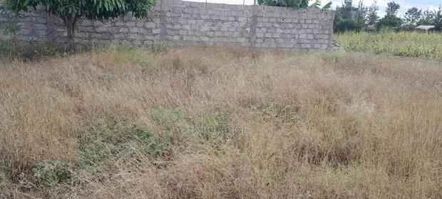 40 by 60 Plot at Murera - thumbnail 3