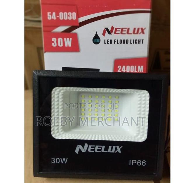 Neelux 30 Watts Outdoor AC Electric Security Led Flood Light