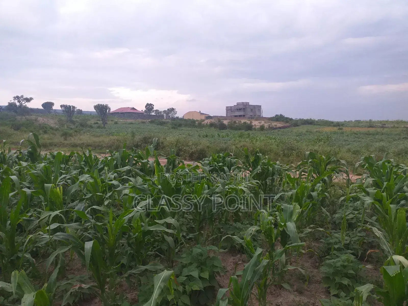 Prime Plots for Sale in Nakuru