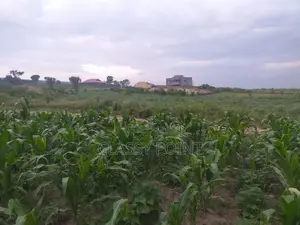 Prime Plots for Sale in Nakuru