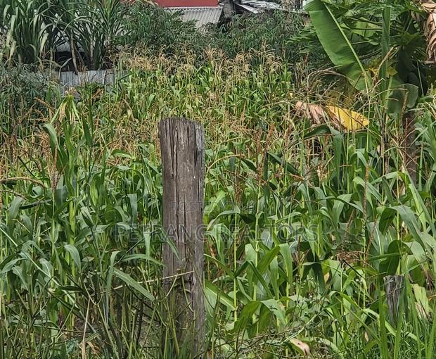 2 Commercial Plot for Sale in Kasarani - main view