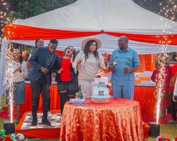 Stage Pyrotechnics for Hire - thumbnail 3