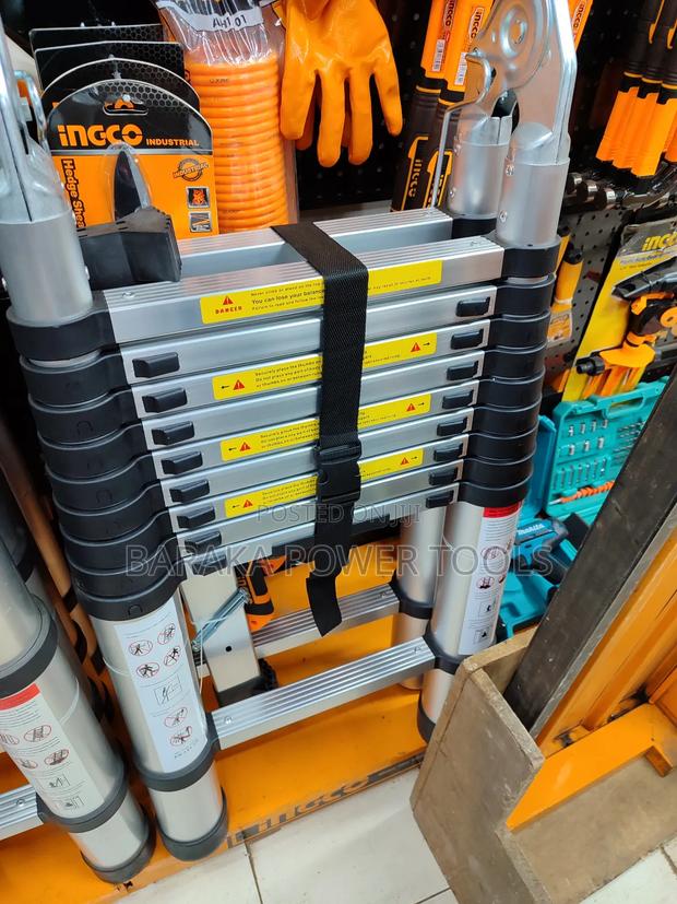 Folding Telescopic Ladder