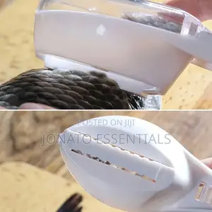 Fish Scales Scraper and Remover