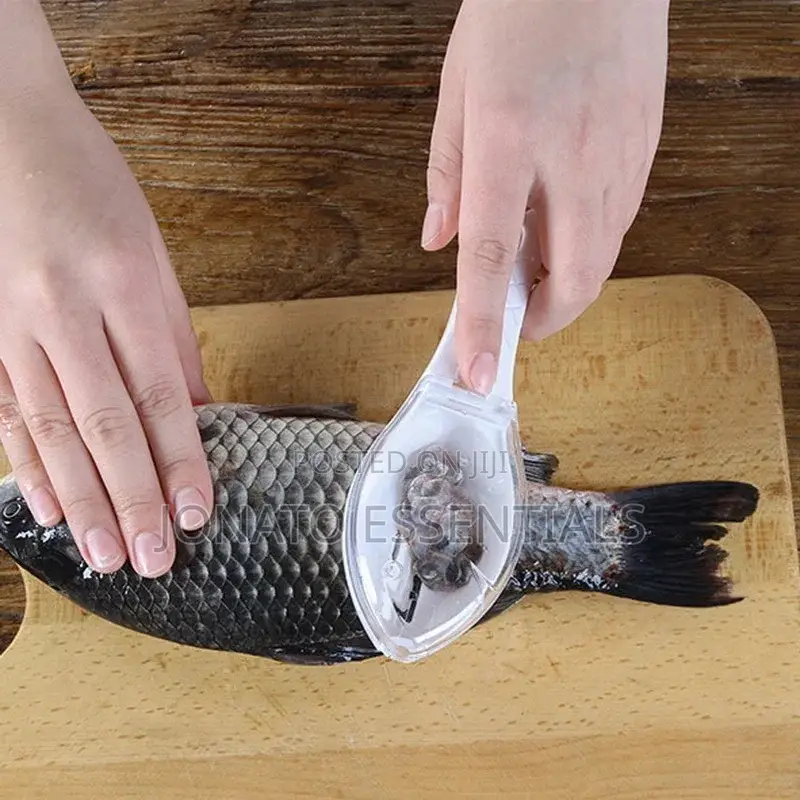 Fish Scales Scraper and Remover