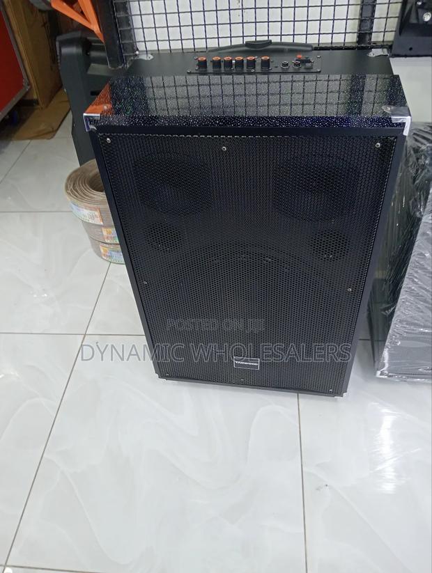 15 Inch Tagwood Speaker , Public Address 15 Inch Tagwood