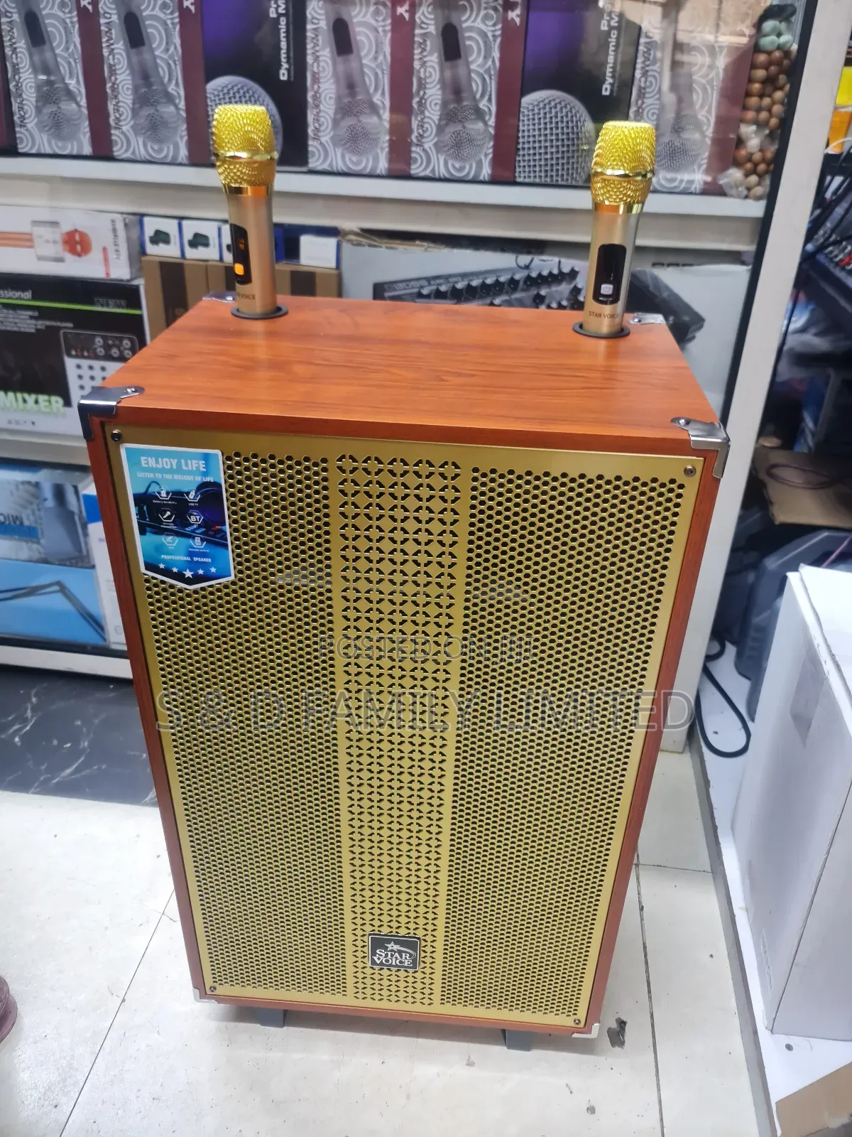 Starvoice Powered Speaker With 2 Microphones