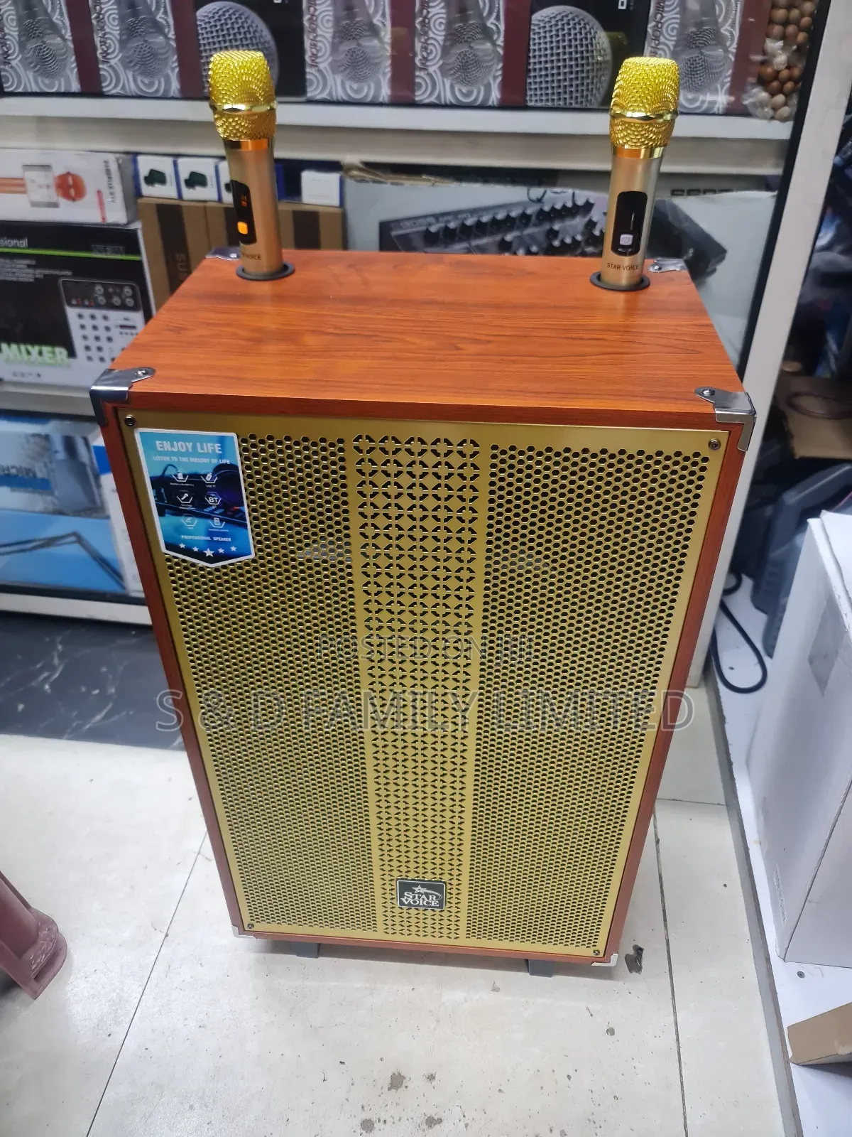 Starvoice Powered Speaker With 2 Microphones