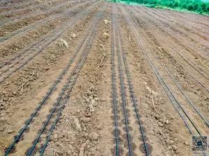 Drip Irrigation Installation Agrotec