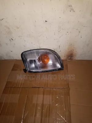 Corner Light Bardbody
