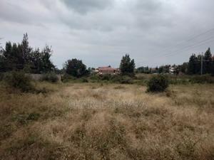 Sabaki Plot for Sale - thumbnail 2