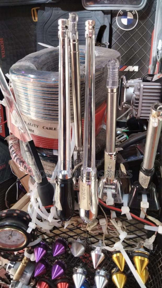 Pole Antenna/Bumper Antenna/Aerial - main view