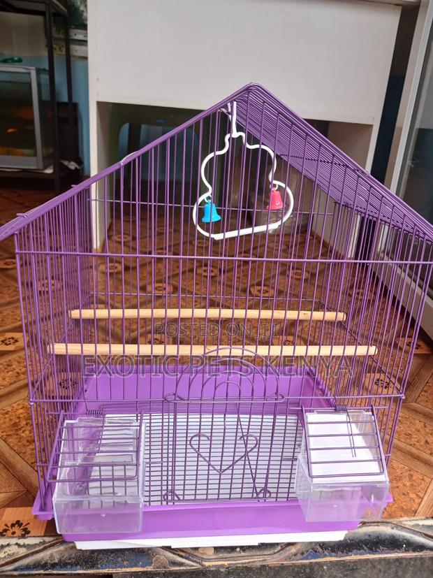 Affordable Cages for Birds - main view