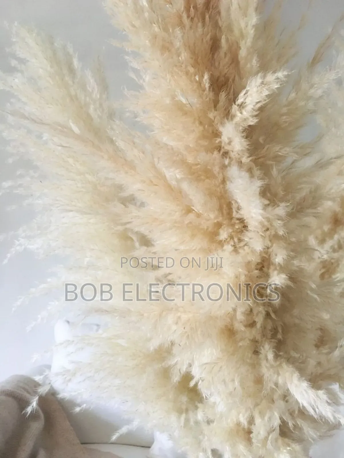 Fluffy Pampas Grass 1.5m Long