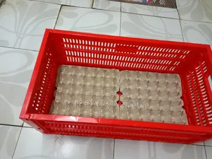 10 Trays Transportation Crates