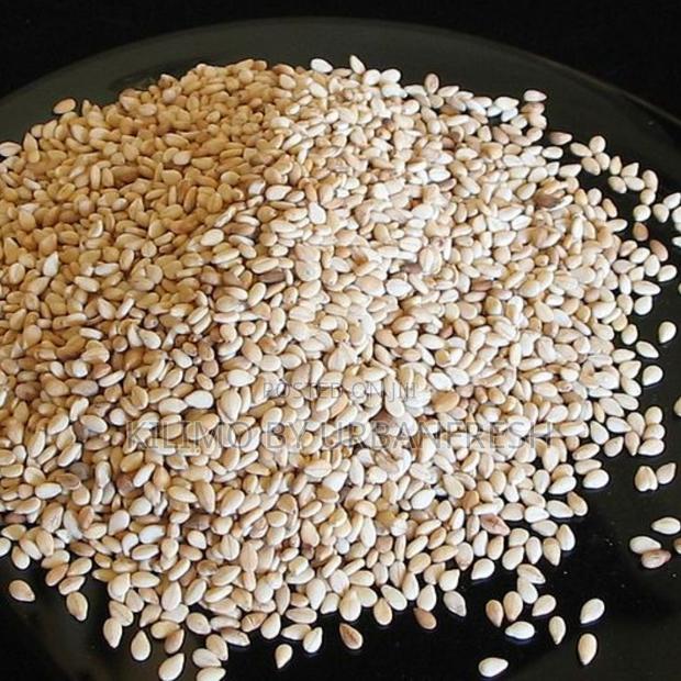 Sesame Planting Seeds (Simsim) 10 - main view