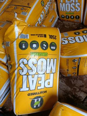 Peat Moss (Sphagnum Moss ) - thumbnail 2