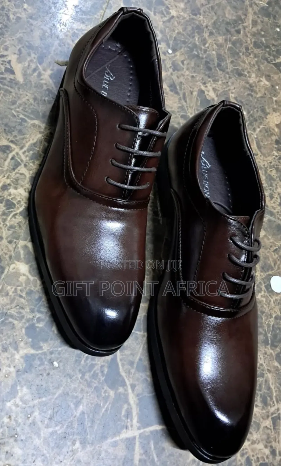 Empire Coffee Brown Official Shoes for Men