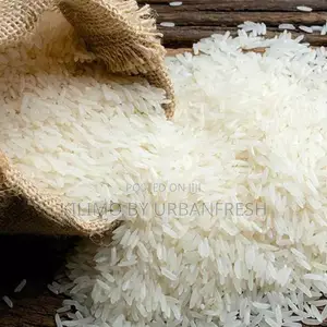 Upland Rice Seeds for Planting 1 Kg Moq 10 Kgs.