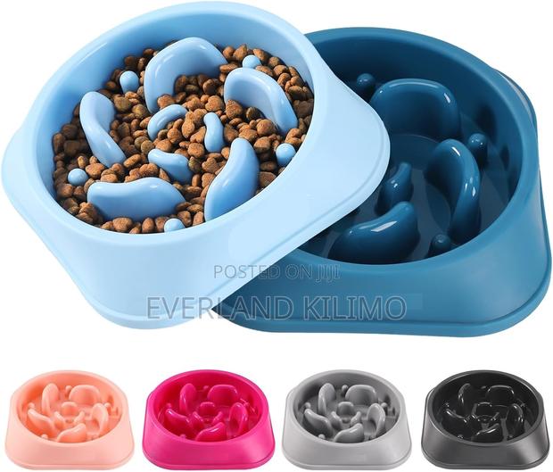 Dog Slow Feeder Bowl - thumbnail 3